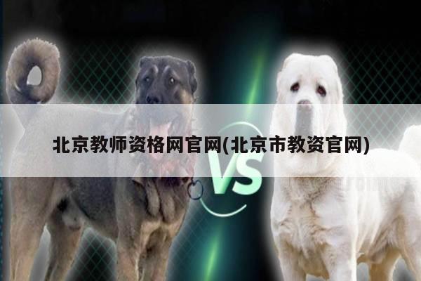 北京教师资格网官网(北京市教资官网)