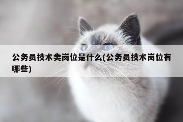 公务员技术类岗位是什么(公务员技术岗位有哪些)