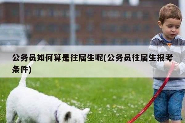 公务员如何算是往届生呢(公务员往届生报考条件)