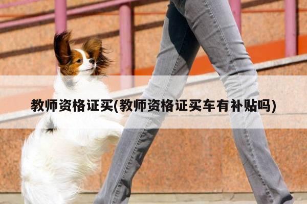 教师资格证买(教师资格证买车有补贴吗)