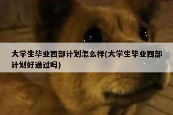 大学生毕业西部计划怎么样(大学生毕业西部计划好通过吗)