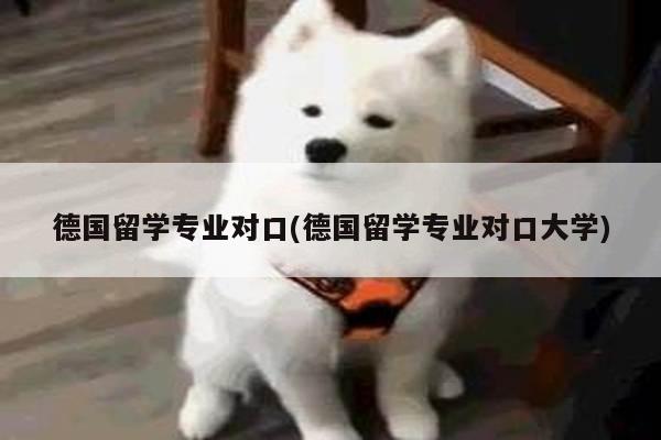 德国留学专业对口(德国留学专业对口大学)