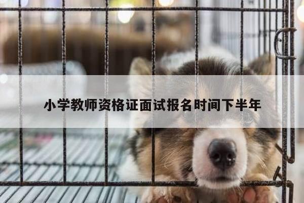 小学教师资格证面试报名时间下半年