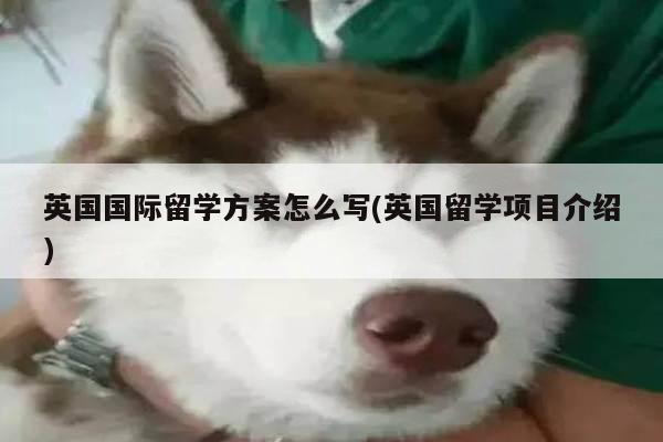 英国国际留学方案怎么写(英国留学项目介绍)