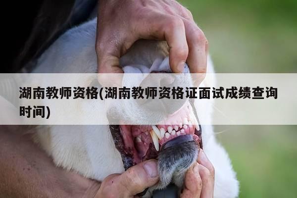 湖南教师资格(湖南教师资格证面试成绩查询时间)