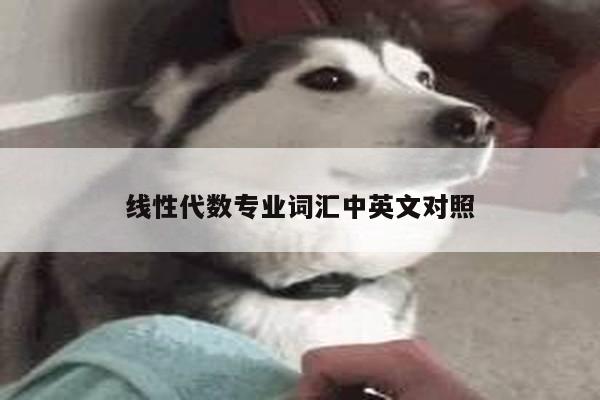 线性代数专业词汇中英文对照