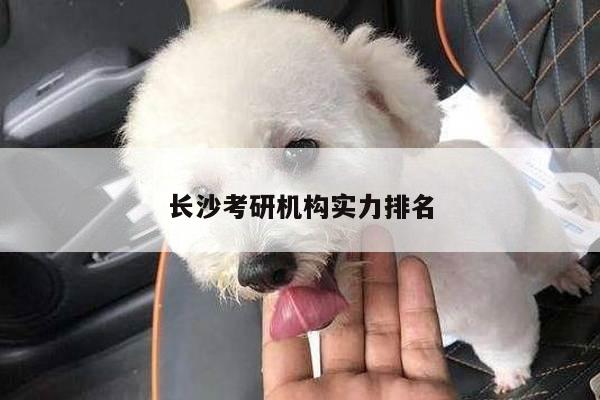 长沙考研机构实力排名