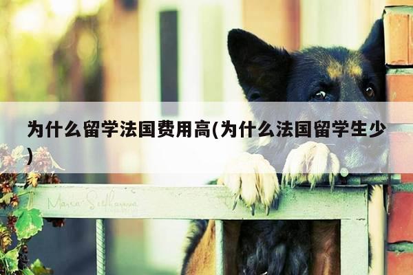 为什么留学法国费用高(为什么法国留学生少)
