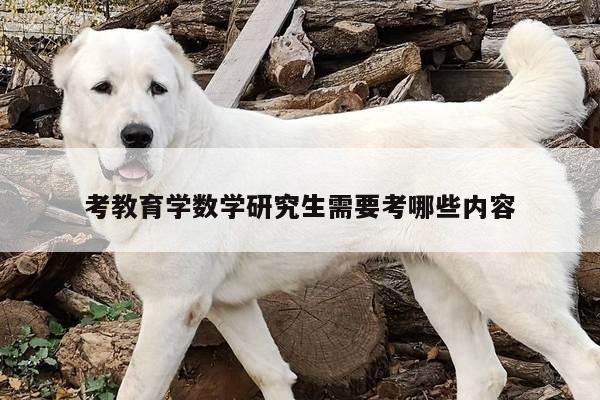 考教育学数学研究生需要考哪些内容