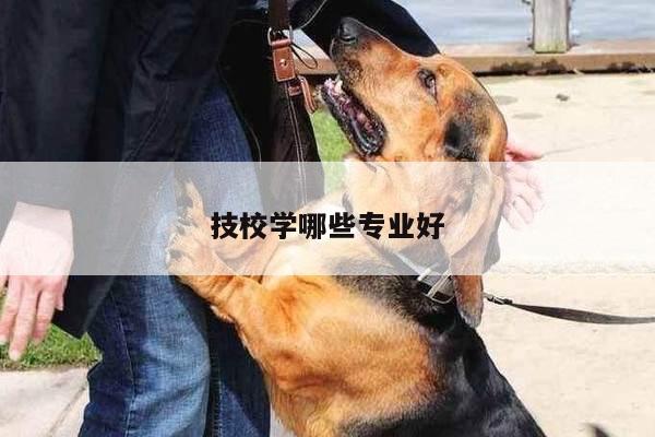 技校学哪些专业好