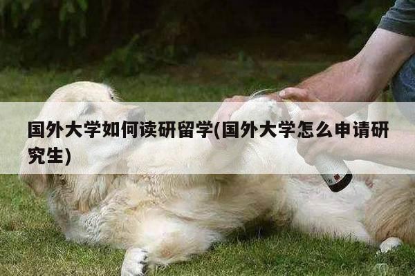 国外大学如何读研留学(国外大学怎么申请研究生)