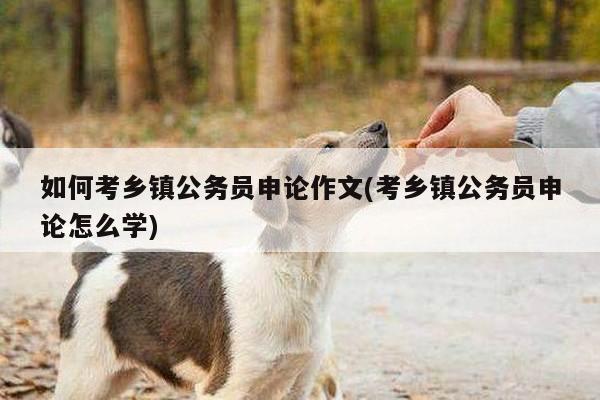如何考乡镇公务员申论作文(考乡镇公务员申论怎么学)