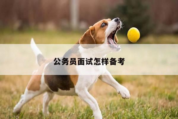 公务员面试怎样备考