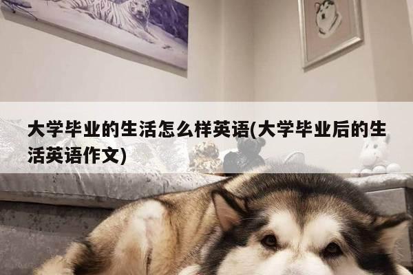 大学毕业的生活怎么样英语(大学毕业后的生活英语作文)