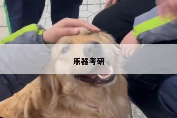 乐器考研