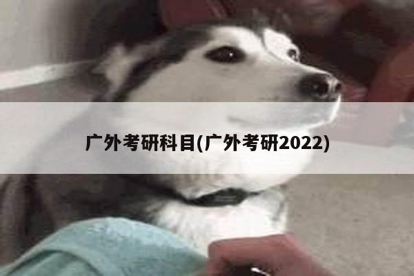 广外考研科目(广外考研2022)