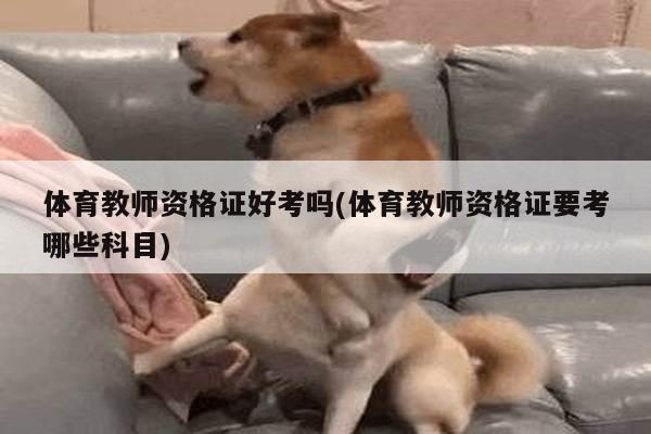 体育教师资格证好考吗(体育教师资格证要考哪些科目)