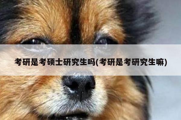 考研是考硕士研究生吗(考研是考研究生嘛)