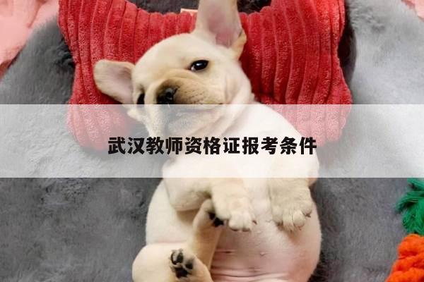 武汉教师资格证报考条件