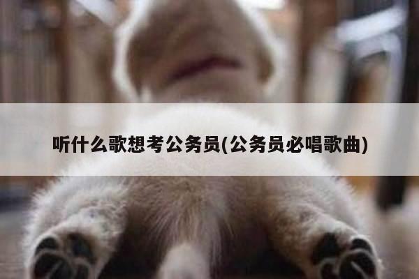 听什么歌想考公务员(公务员必唱歌曲)