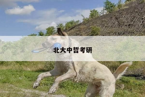北大中哲考研