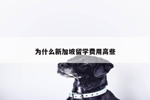 为什么新加坡留学费用高些