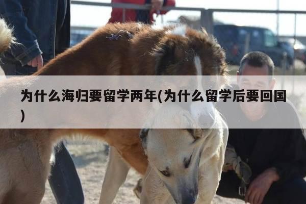 为什么海归要留学两年(为什么留学后要回国)