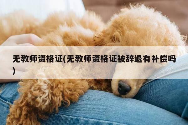 无教师资格证(无教师资格证被辞退有补偿吗)