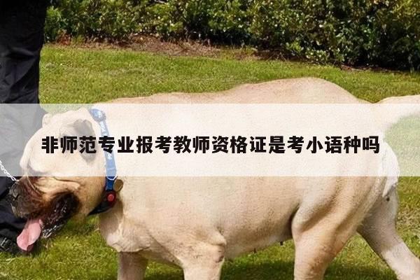 非师范专业报考教师资格证是考小语种吗