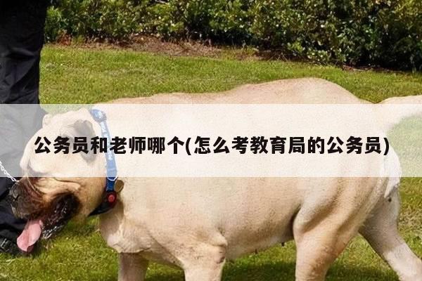 公务员和老师哪个(怎么考教育局的公务员)