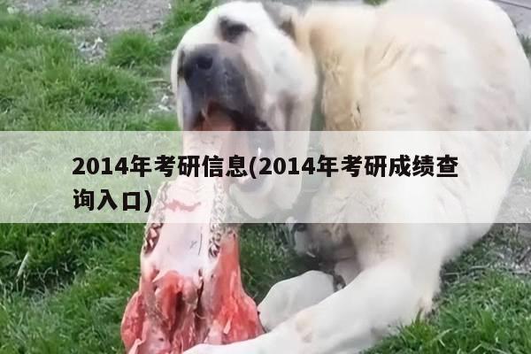 2014年考研信息(2014年考研成绩查询入口)