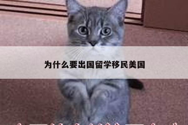 为什么要出国留学移民美国