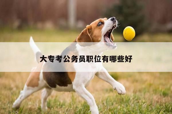 大专考公务员职位有哪些好
