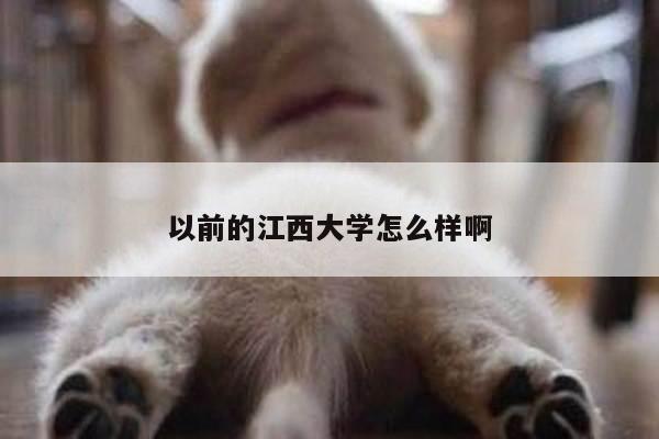 以前的江西大学怎么样啊