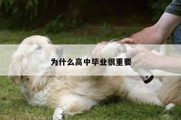 为什么高中毕业很重要