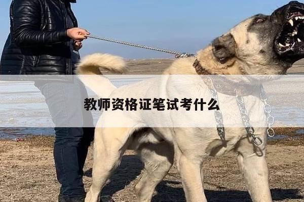 教师资格证笔试考什么