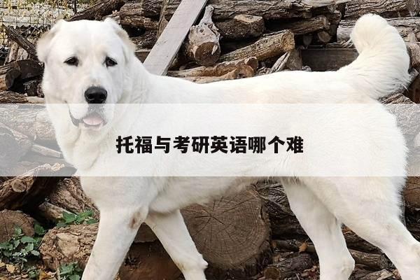 托福与考研英语哪个难