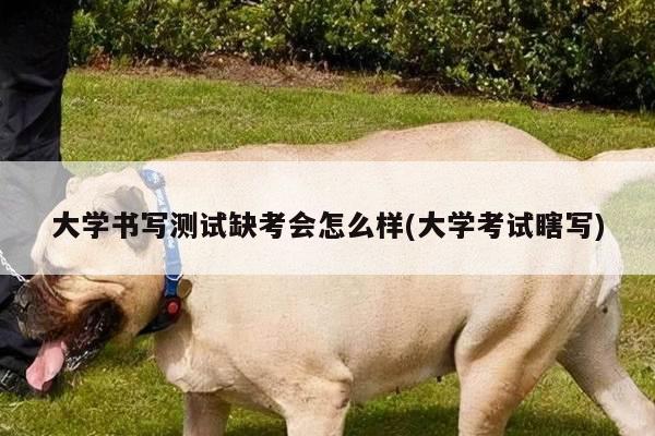 大学书写测试缺考会怎么样(大学考试瞎写)