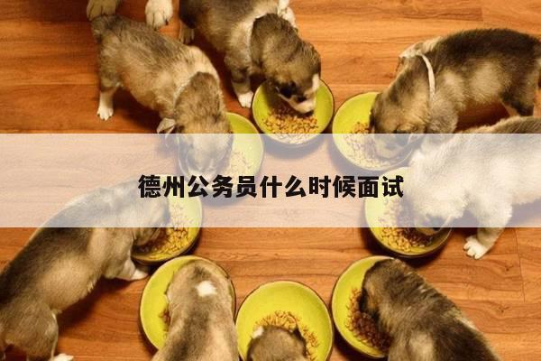 德州公务员什么时候面试