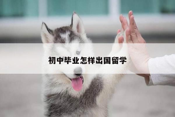 初中毕业怎样出国留学