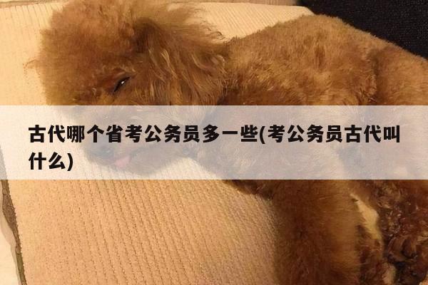 古代哪个省考公务员多一些(考公务员古代叫什么)