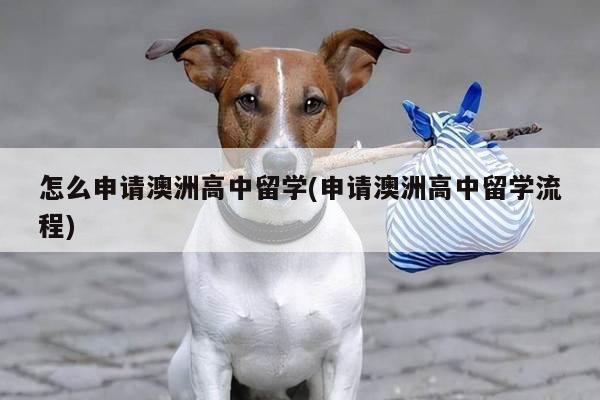 怎么申请澳洲高中留学(申请澳洲高中留学流程)