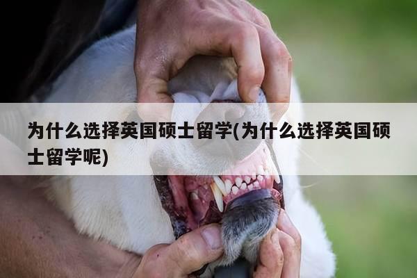 为什么选择英国硕士留学(为什么选择英国硕士留学呢)