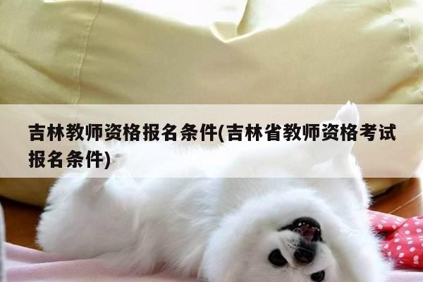 吉林教师资格报名条件(吉林省教师资格考试报名条件)