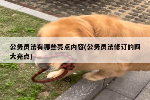公务员法有哪些亮点内容(公务员法修订的四大亮点)