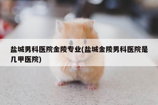 盐城男科医院金陵专业(盐城金陵男科医院是几甲医院)