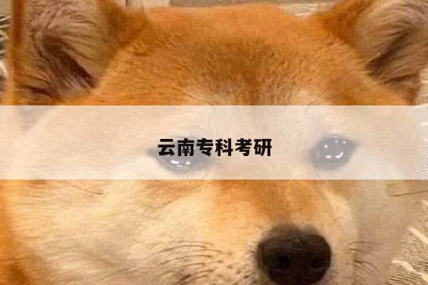 云南专科考研