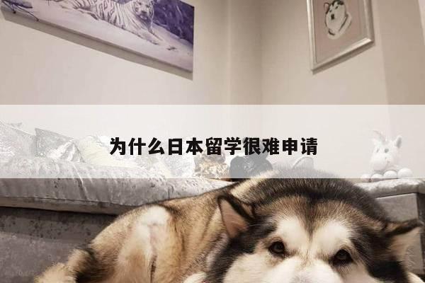 为什么日本留学很难申请