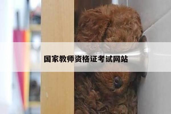 国家教师资格证考试网站