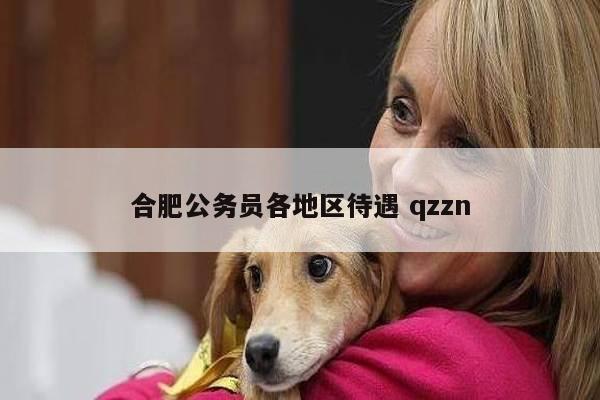 合肥公务员各地区待遇 qzzn